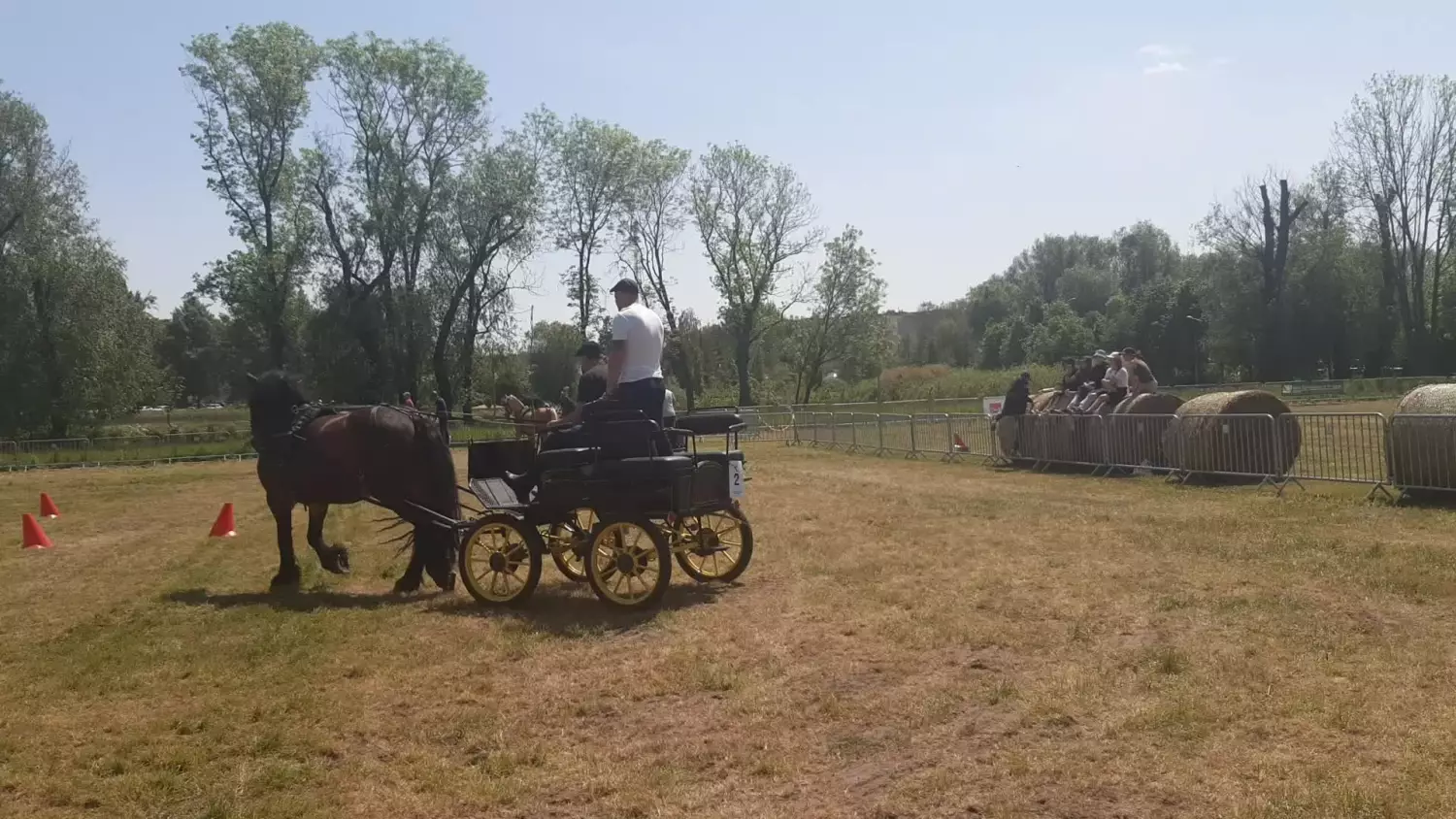 Tarczyn. Święto Konia na Dolnej