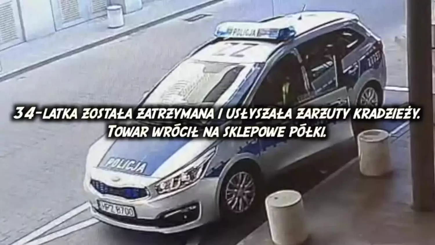 Udawała drzewo po kradzieży